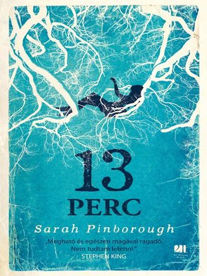 cover image of 13 perc